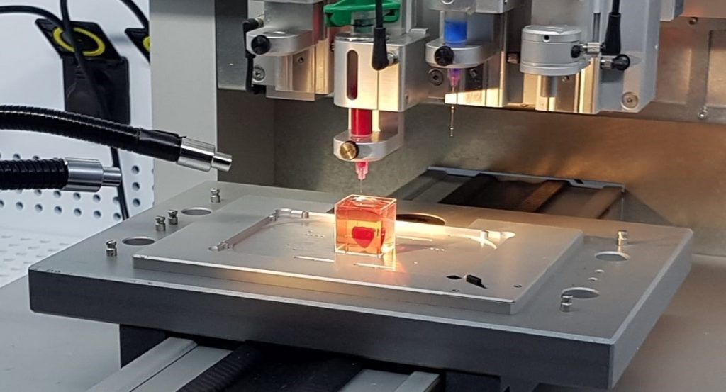Photo of 3D printed heart using human cells on the table