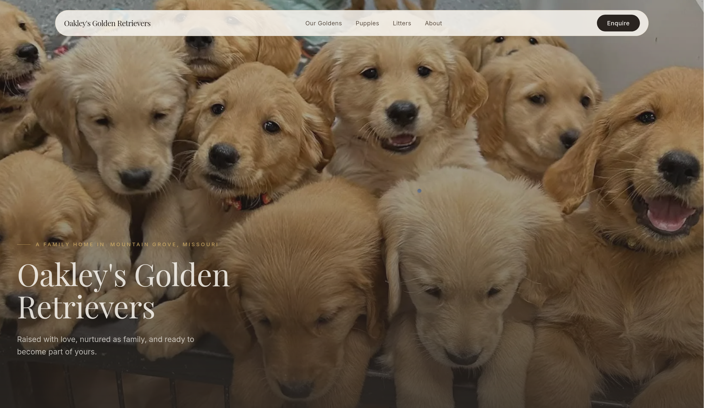 Screenshot of the Oakley's Golden Retrievers website