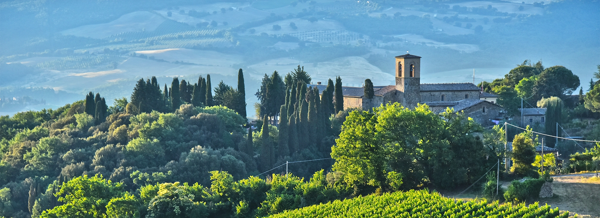 Wines of Tuscany