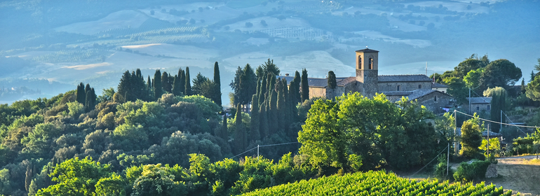 Wines of Tuscany