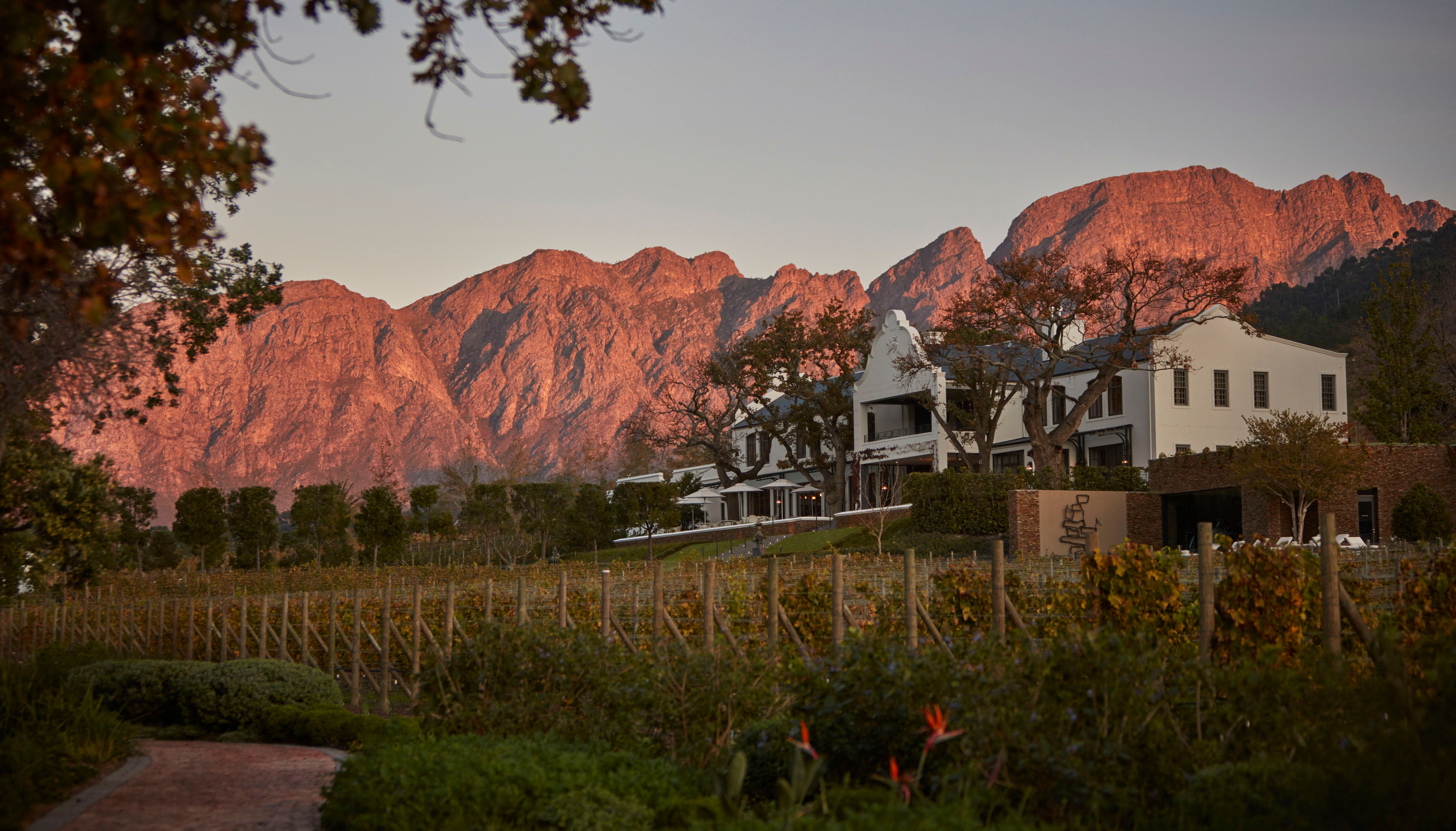 Leeu Estates, Franschhoek