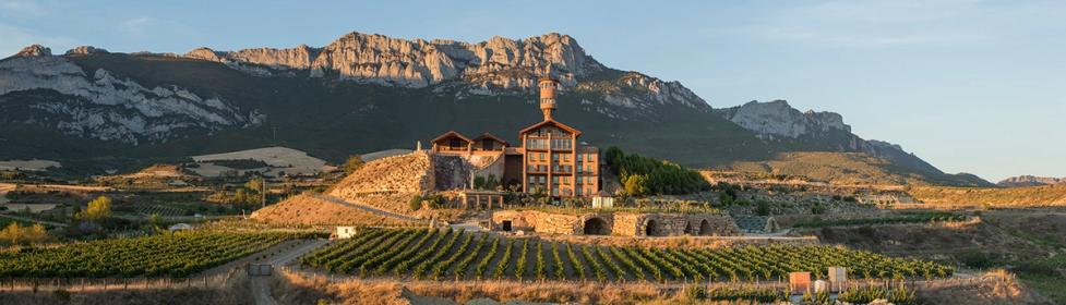 Wines of Rioja & Northern Spain