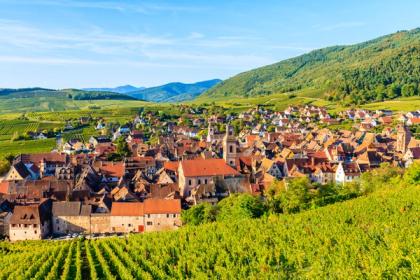 Wines of Alsace