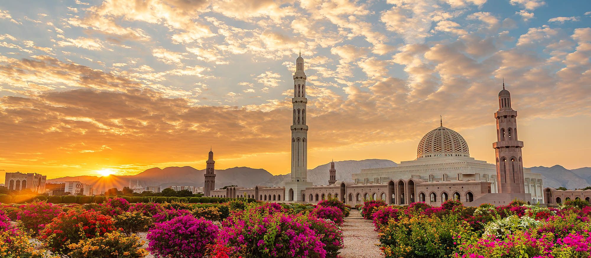 Oman: Rose of Arabia