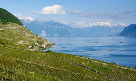 Lake Geneva & Wines of Lavaux
