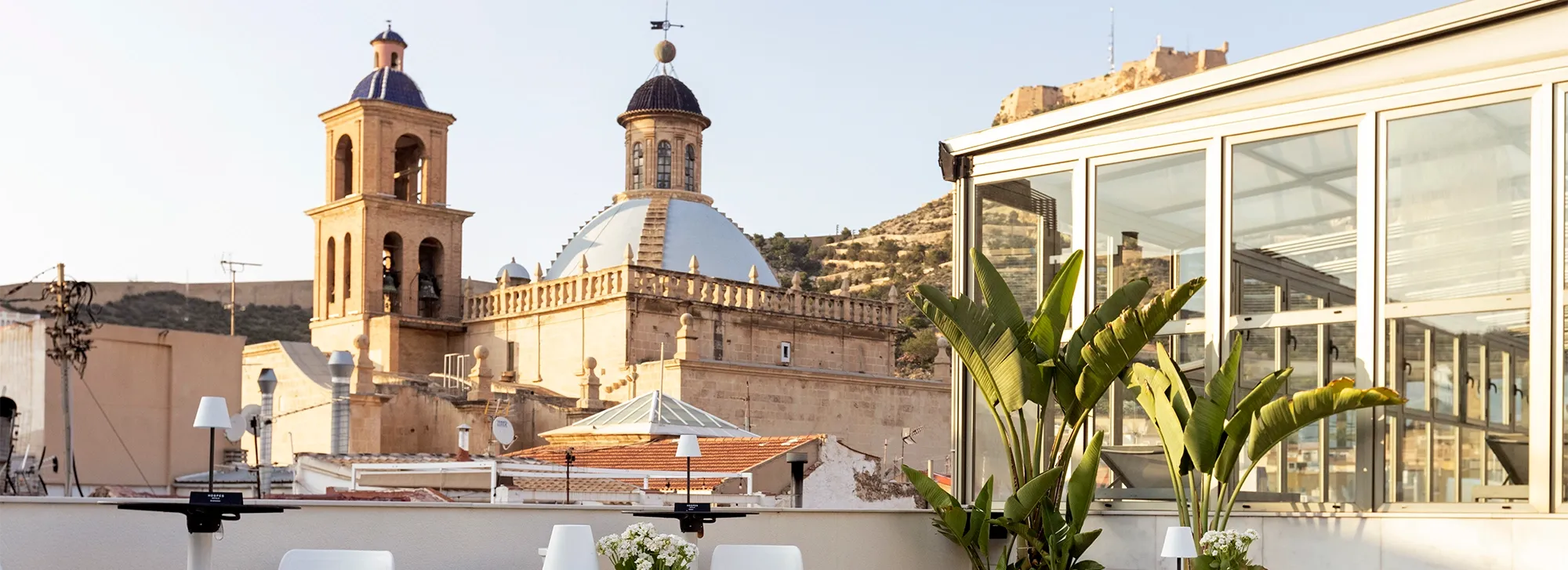 Hospes Amerigo, Alicante