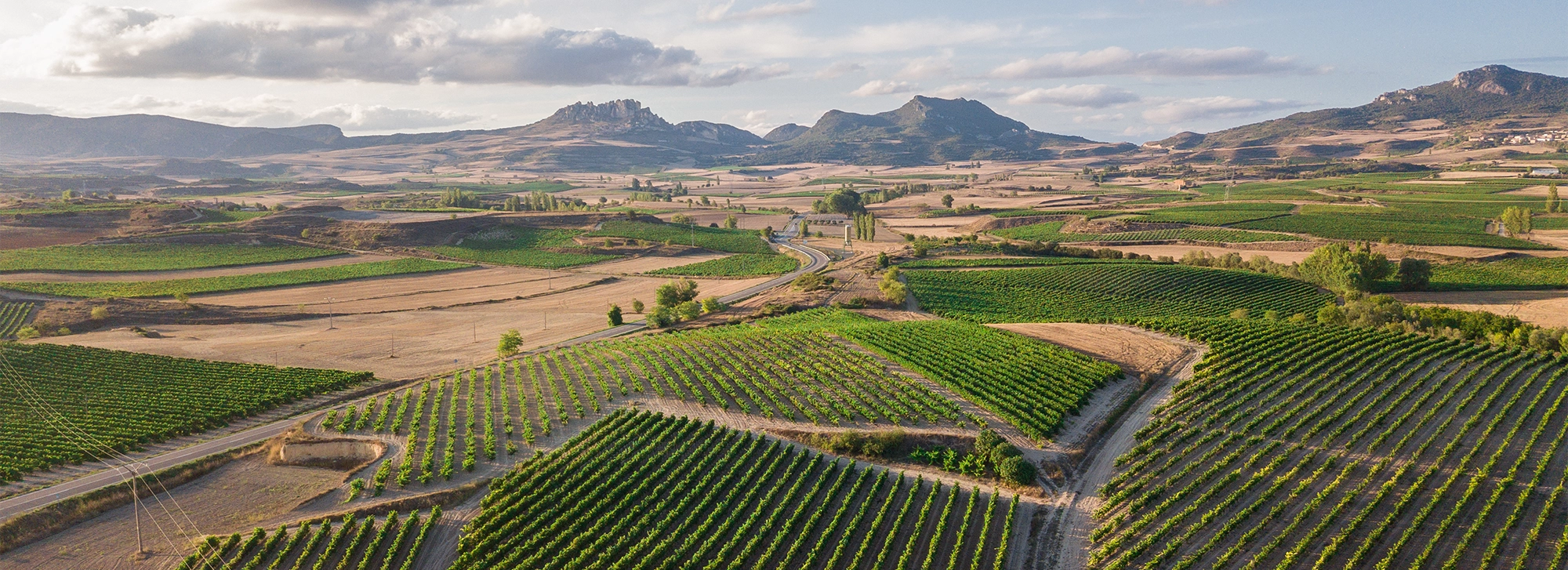 Wines & History of La Rioja & Castile