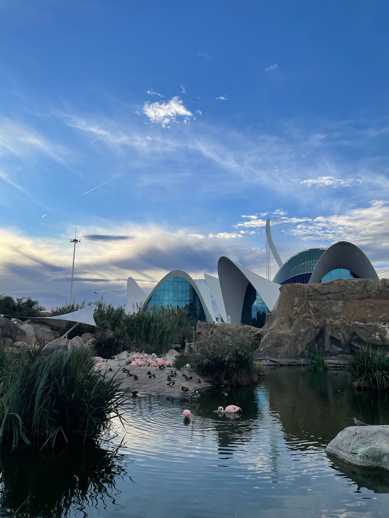 city or arts and sciences