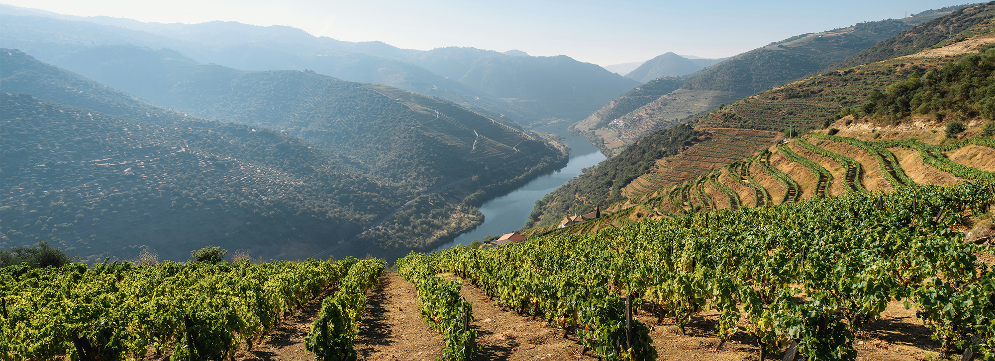 The Spectator Club Tour to Porto & The Douro Valley
