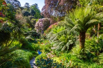 The Gardens and Galleries of Cornwall