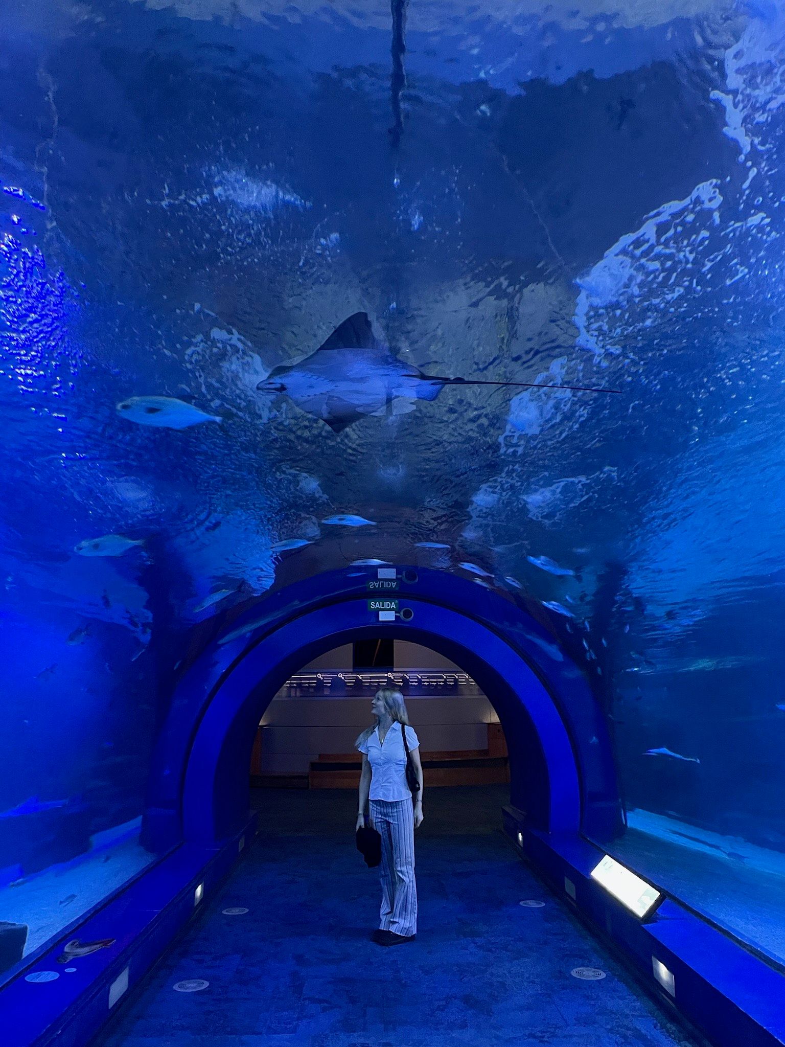 aquarium