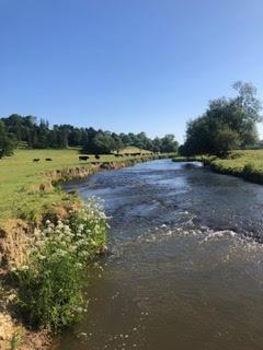 PROJECT Help clean our rivers