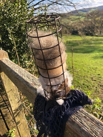 PROJECT Help nesting birds