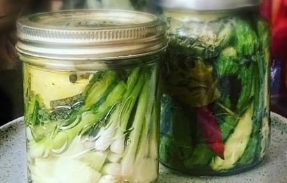 ONLINE COURSE Fermenting For Taste and Health