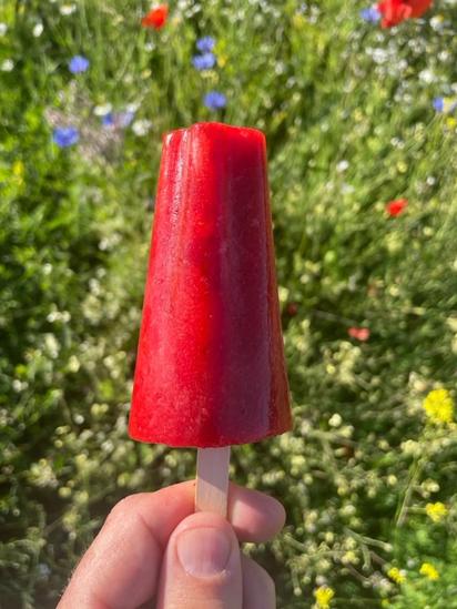 RECIPE Strawberry kombucha ice lollies (and a quirky veg scrap variation for our pigs)