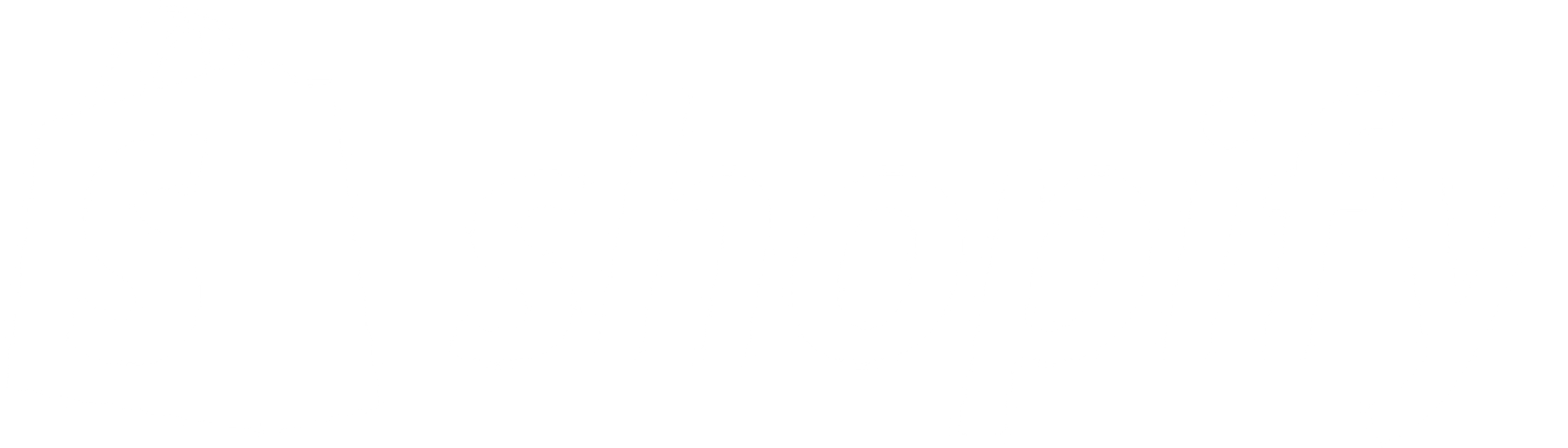 Company logo (José Torre)