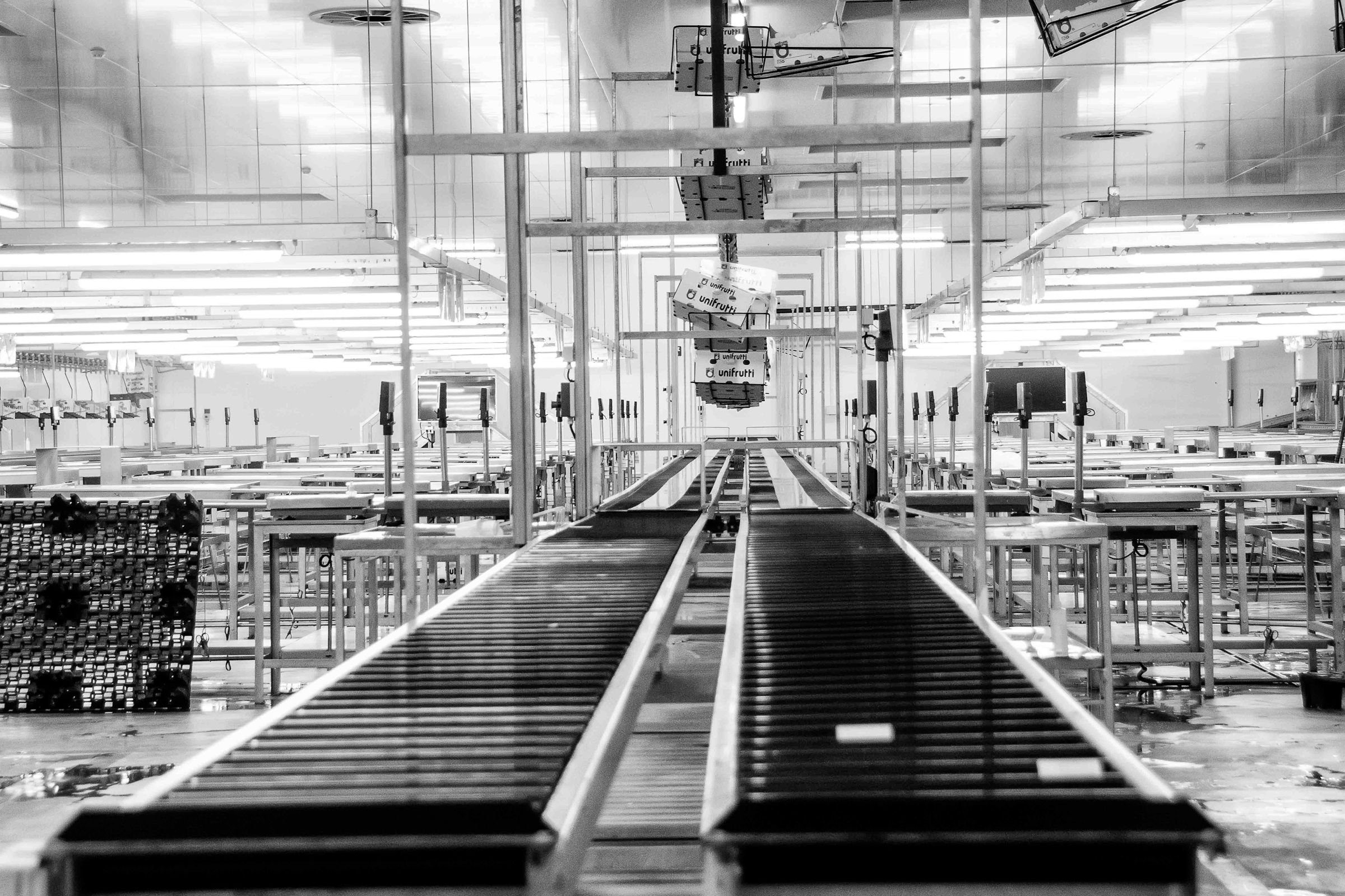 Transportband som löper genom en industrihall, i svartvitt.