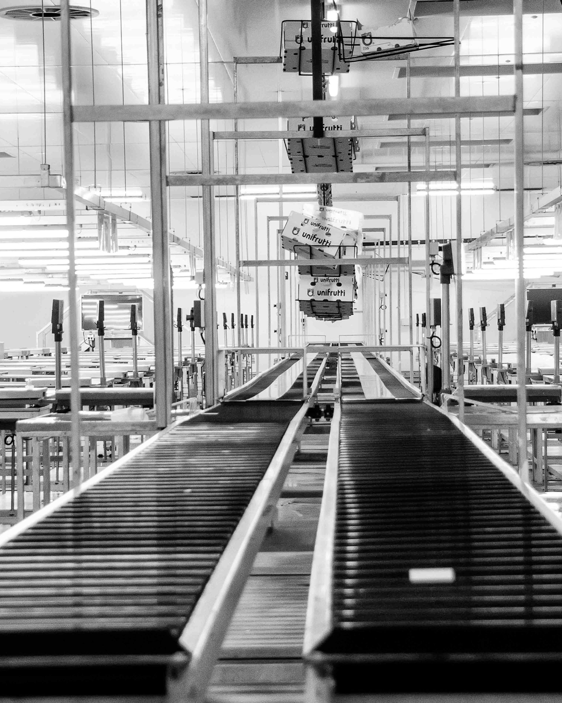 Transportband som löper genom en industrihall, i svartvitt.