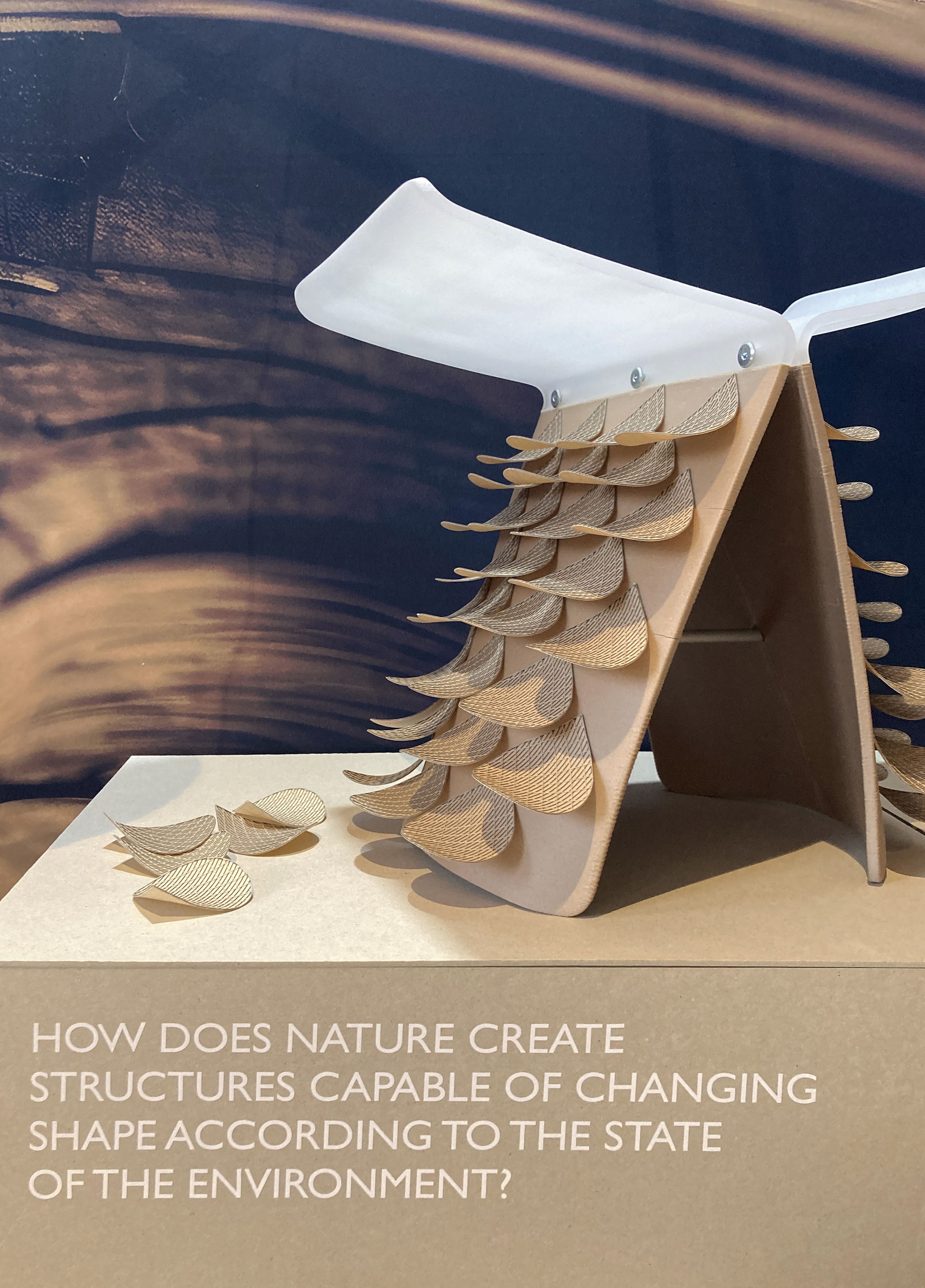 Agence design Lyon Montpellier exposition Milan design week