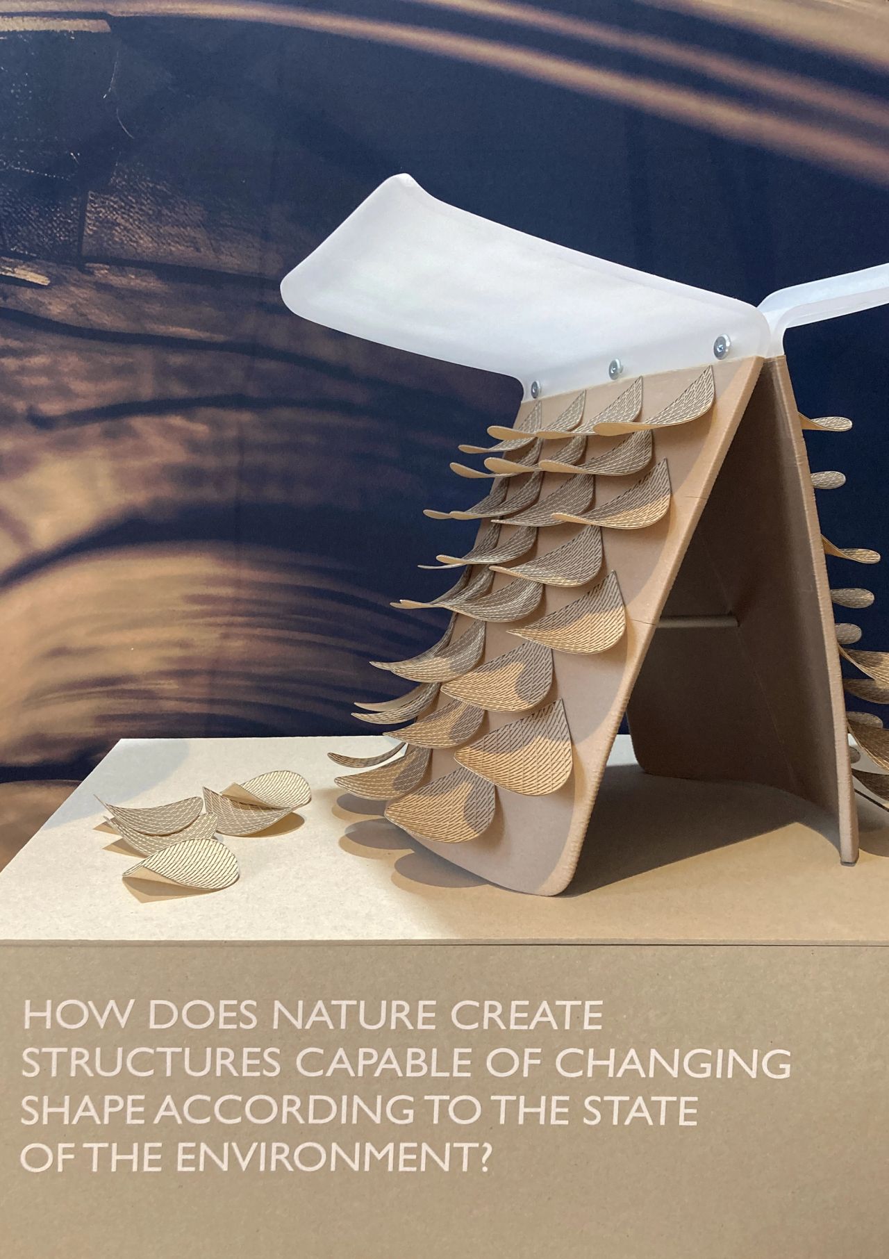 Agence design Lyon Montpellier exposition Milan design week