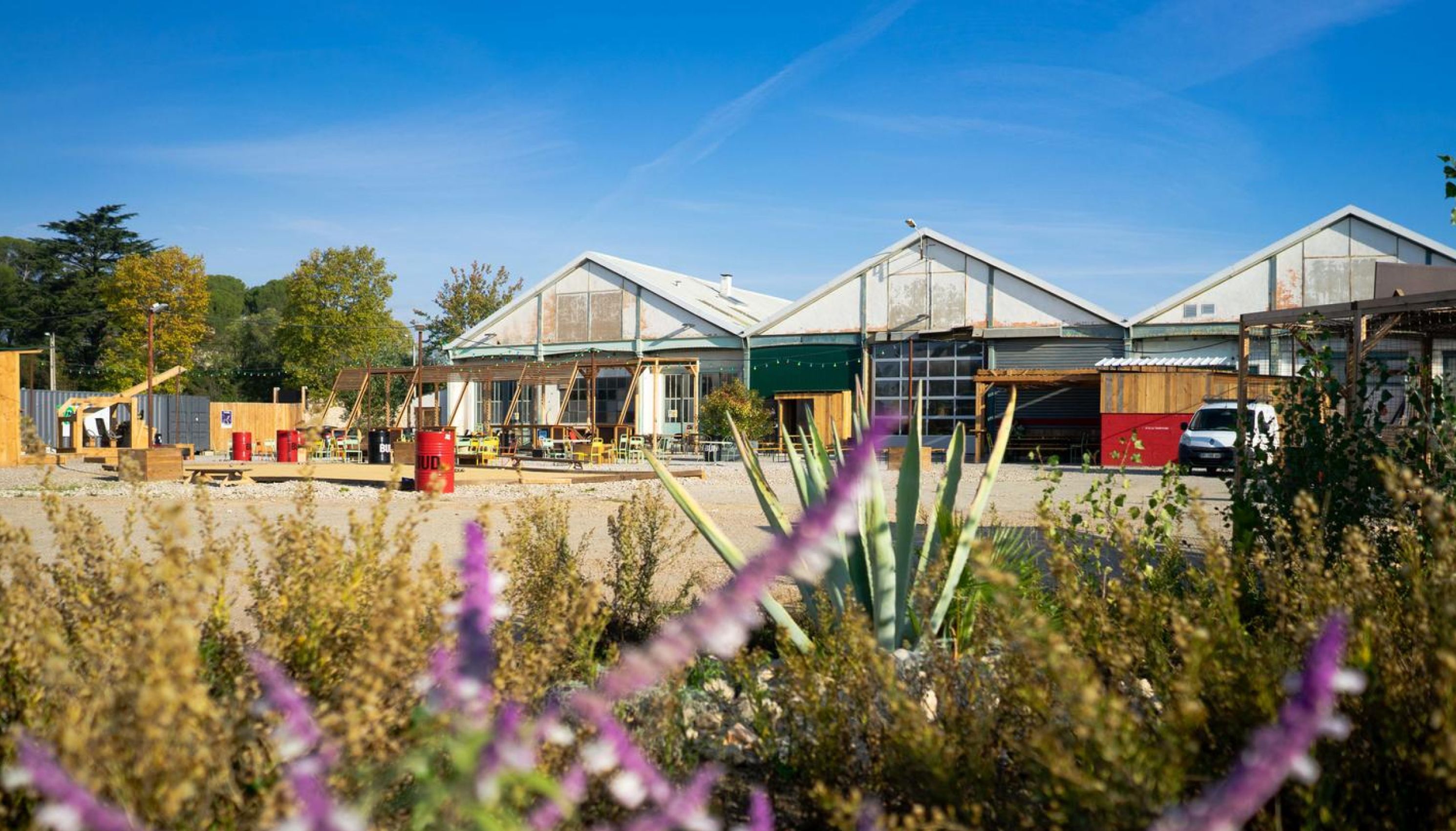 Agence design Montpellier lieux Halle Tropisme