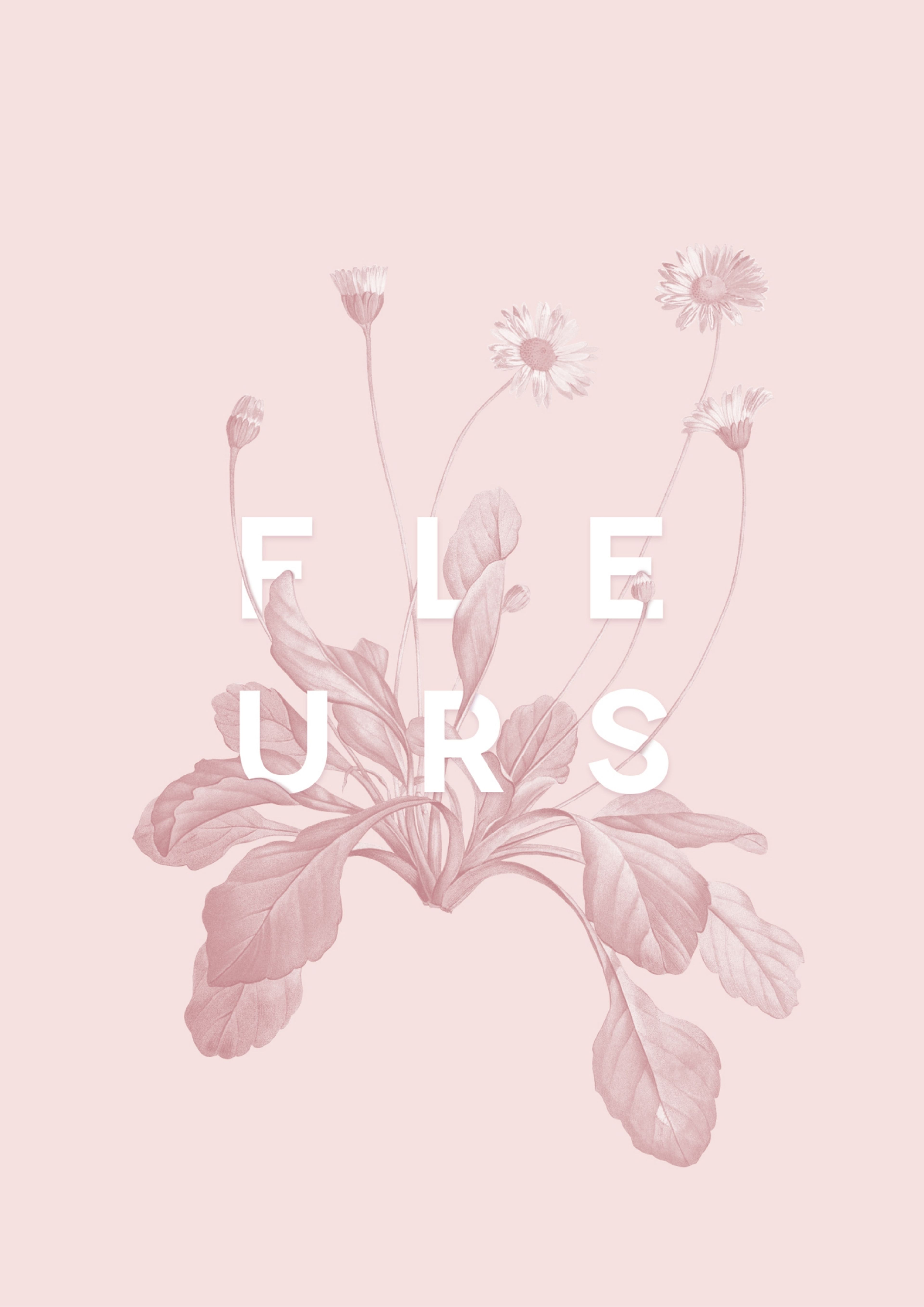 Fleurs