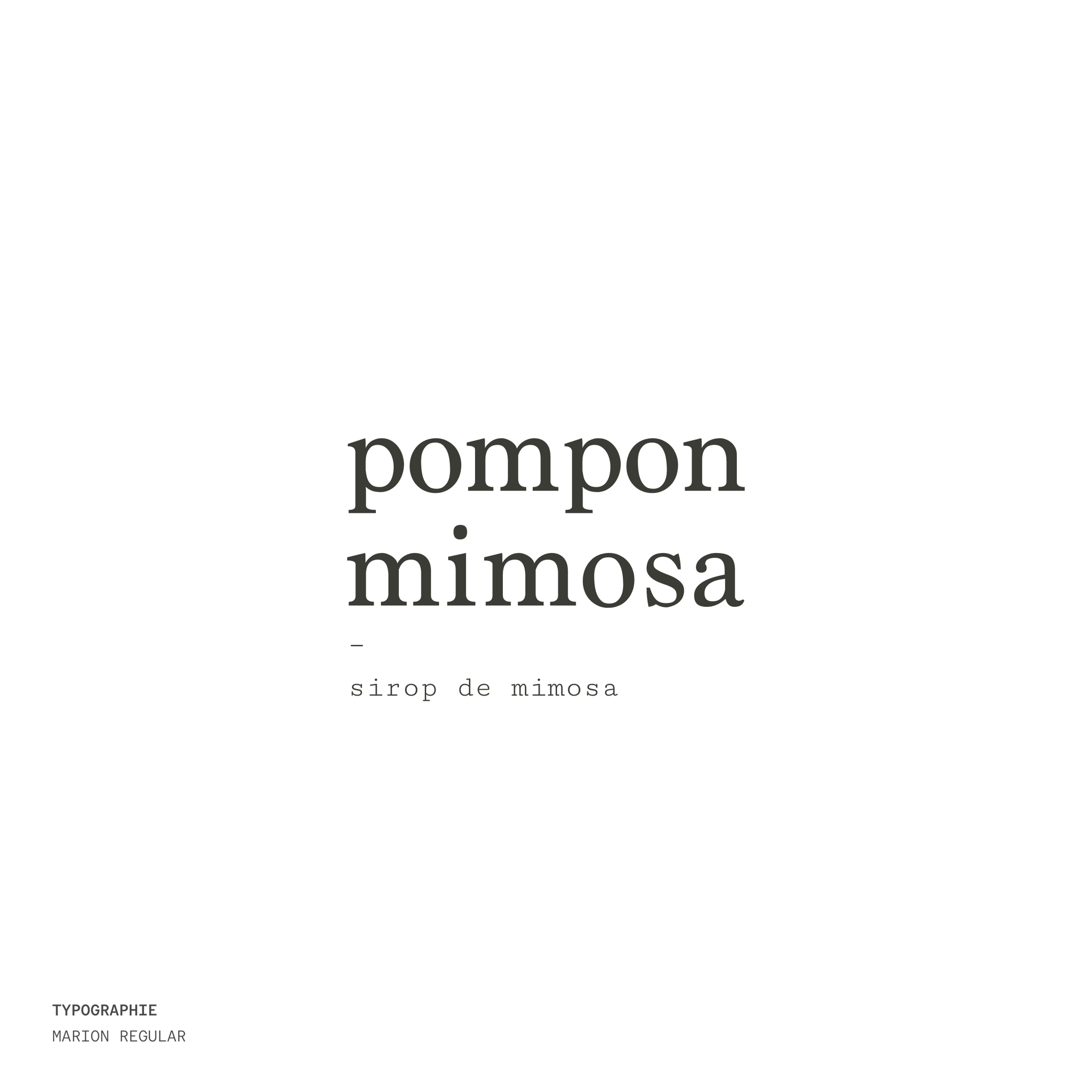 Typographie : Marion Regular