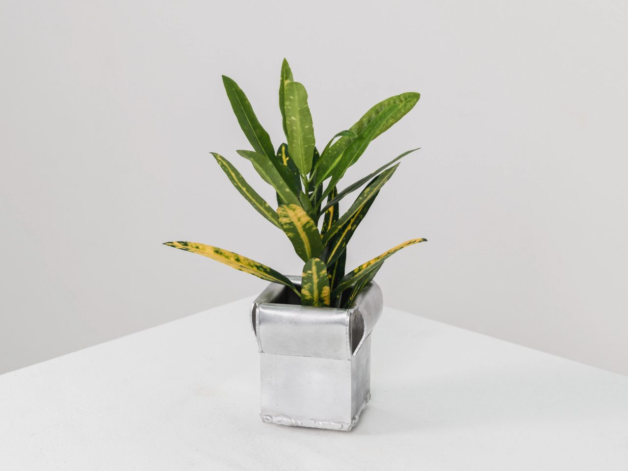 Stackable Tube Planters