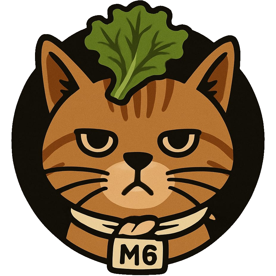 Cat with a lettuce on the head