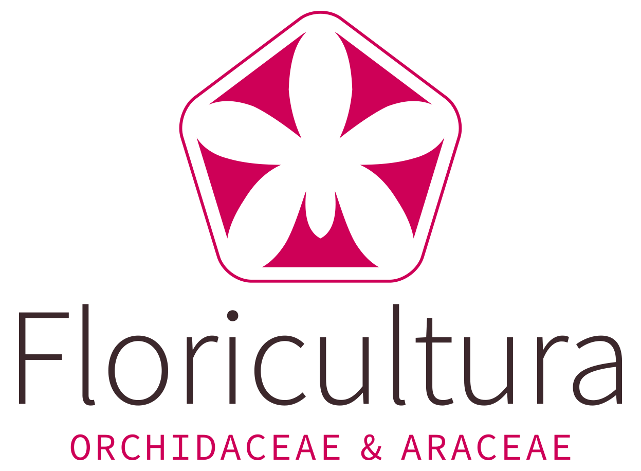 Floricultura thumbnail