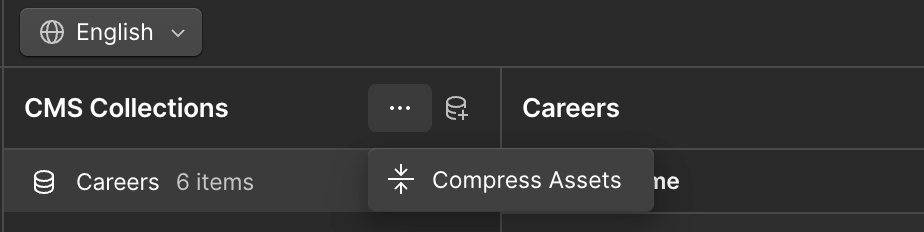 Understanding the Webflow WebP Conversion Tool for CMS Collection Assets