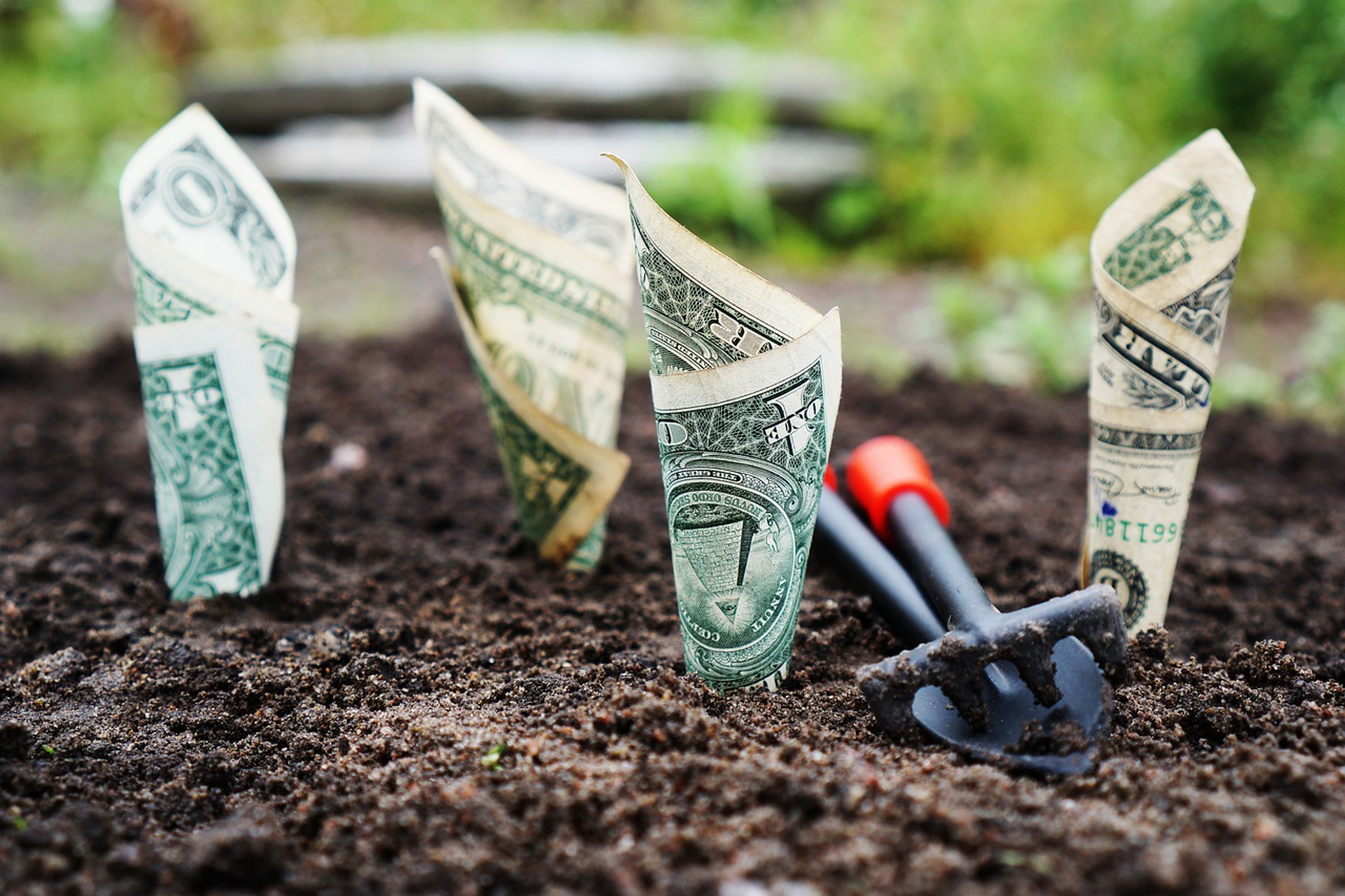 Do Checking Accounts Earn Interest? What You Need to Know