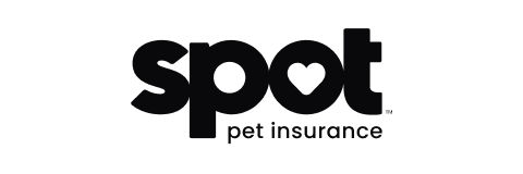 Spot