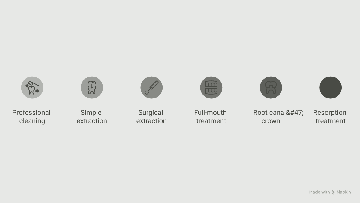 Chart of typical out-of-pocket pet dental costs, from $300 cleanings to $4,000 full-mouth treatment