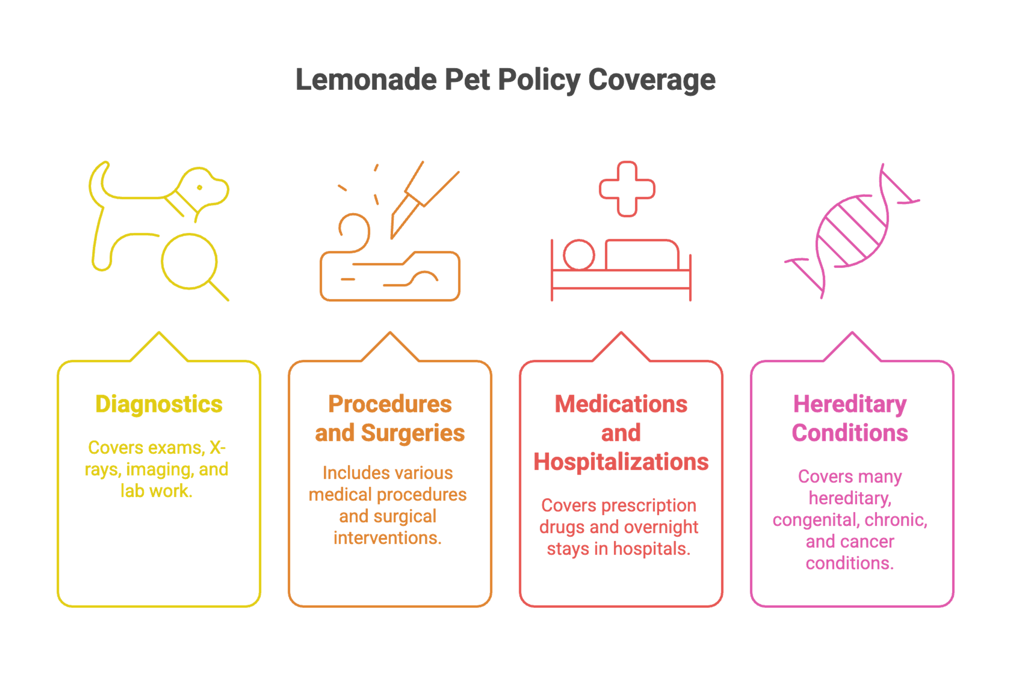 Lemonade Pet Policy Coverage