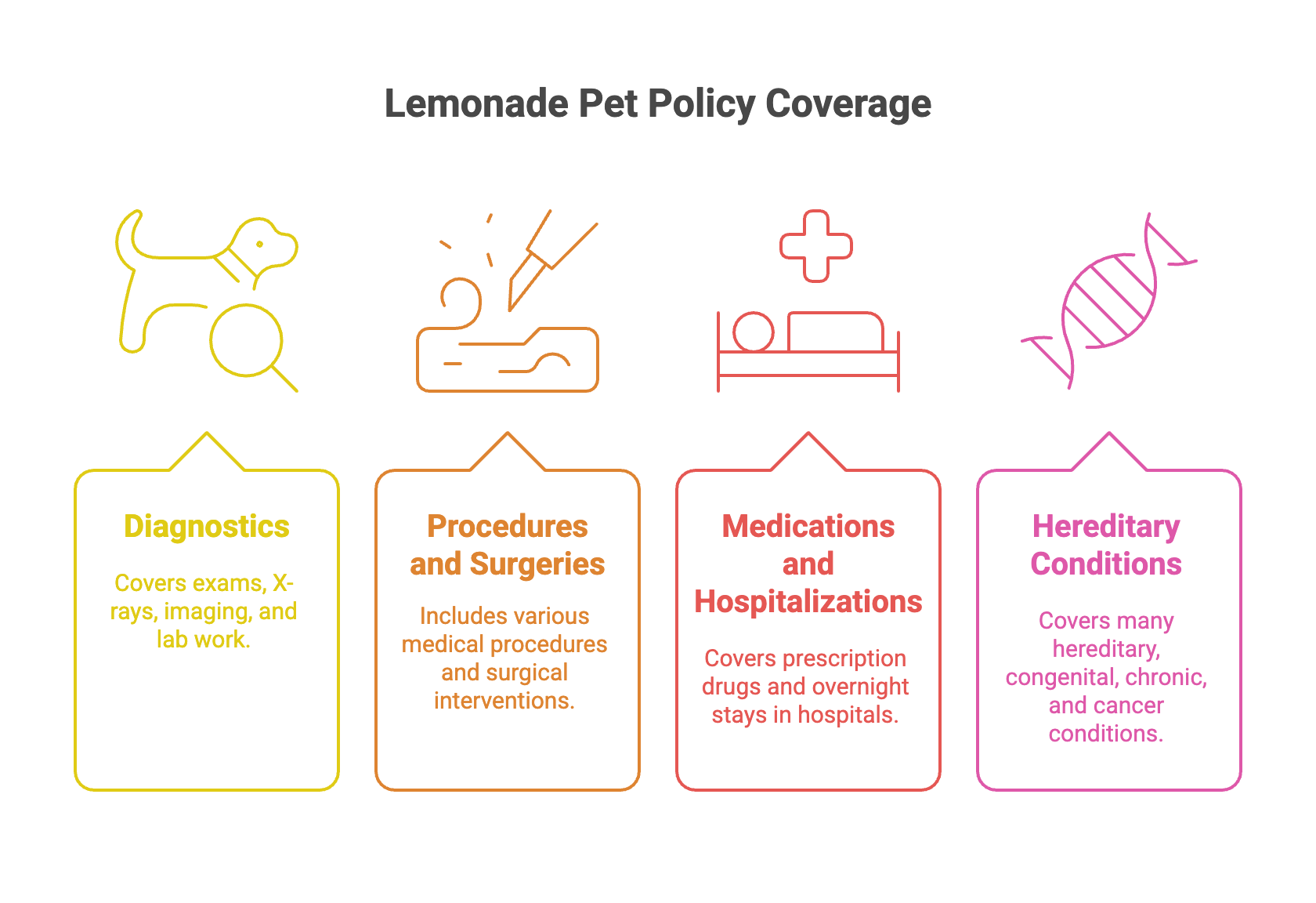 Lemonade Pet Policy Coverage