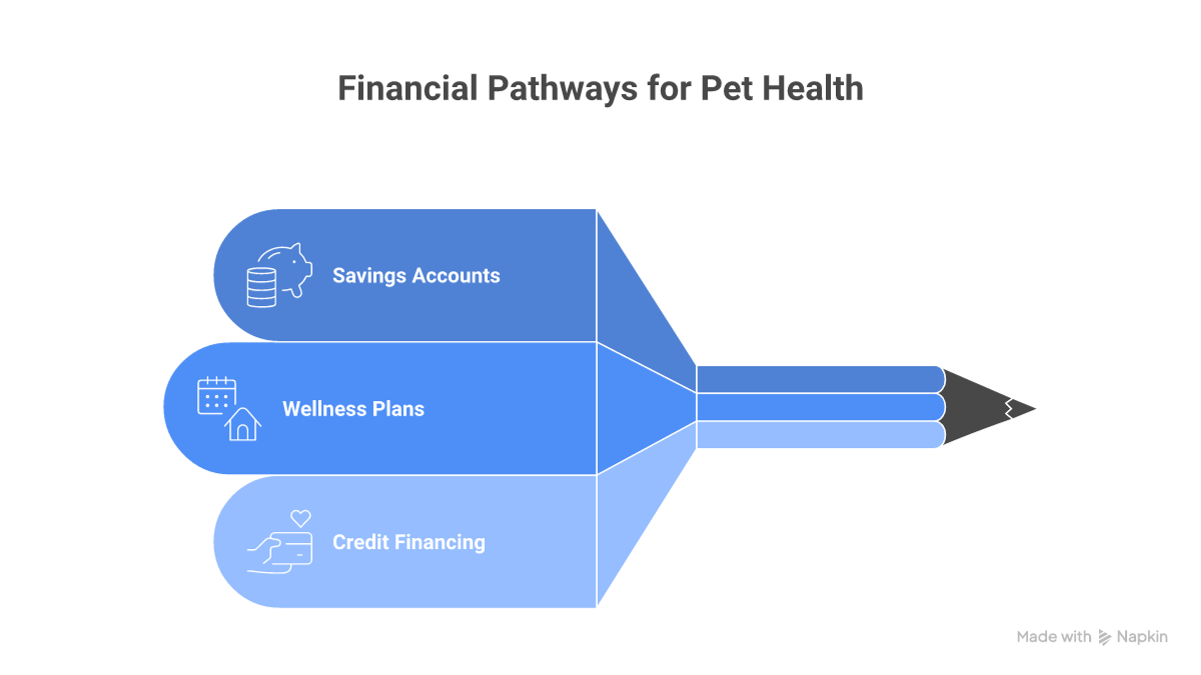 An infographic showing three alternatives to traditional pet insurance for pets with pre-existing conditions: savings accounts, wellness plans, and financing tools.