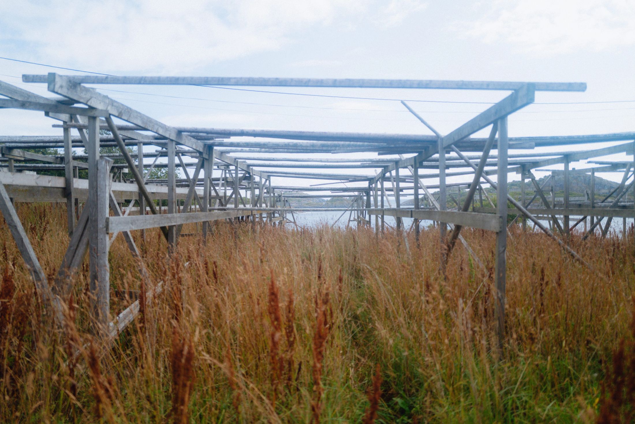 Fish drying racks