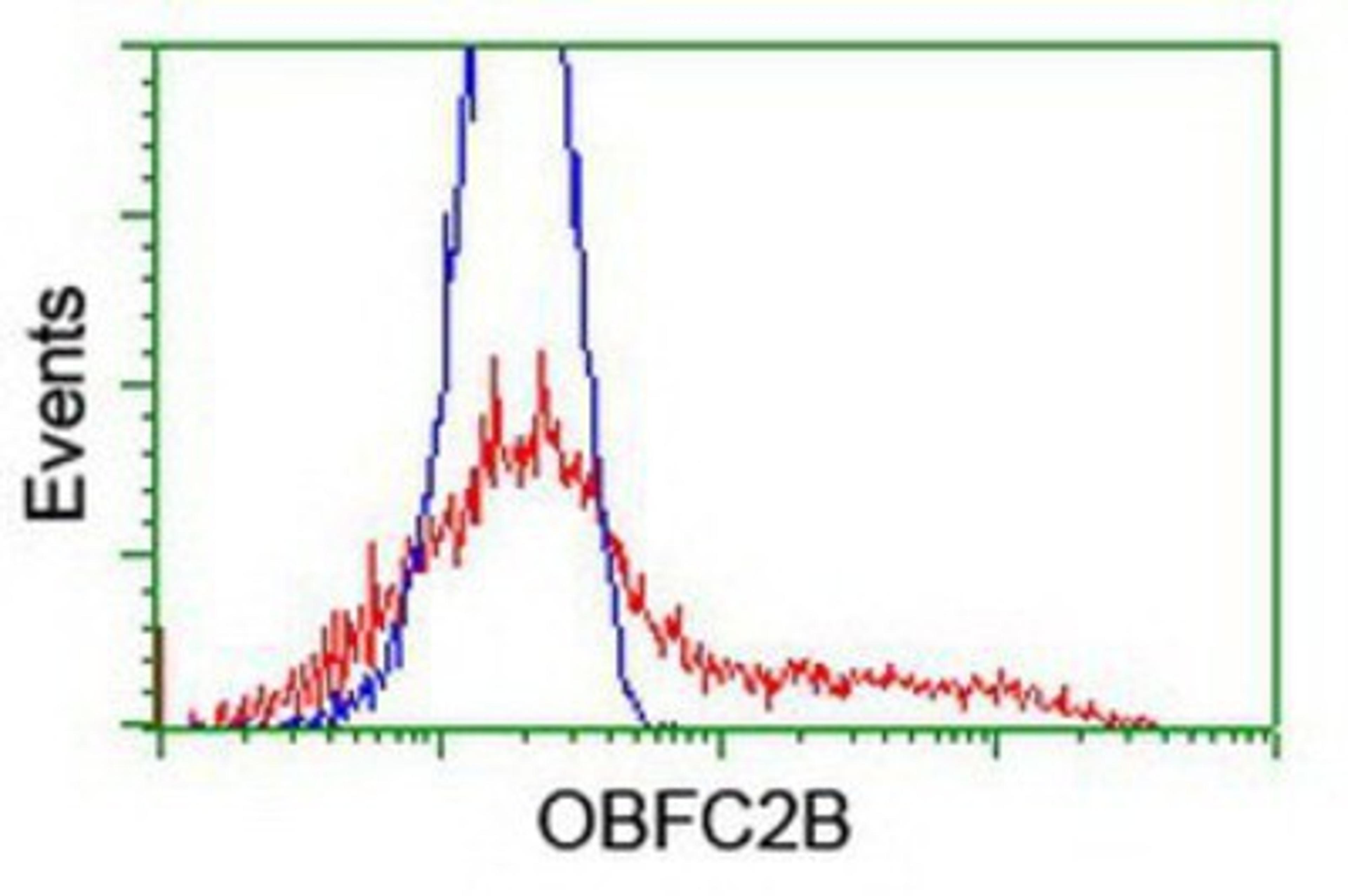 Flow Cytometry: OBFC2B Antibody (1E11) [NBP2-01578] - HEK293T cells transfected with either overexpression plasmid (Red) or empty vector control plasmid (Blue) were immunostained by anti-OBFC2B antibody, and then analyzed by flow cytometry.