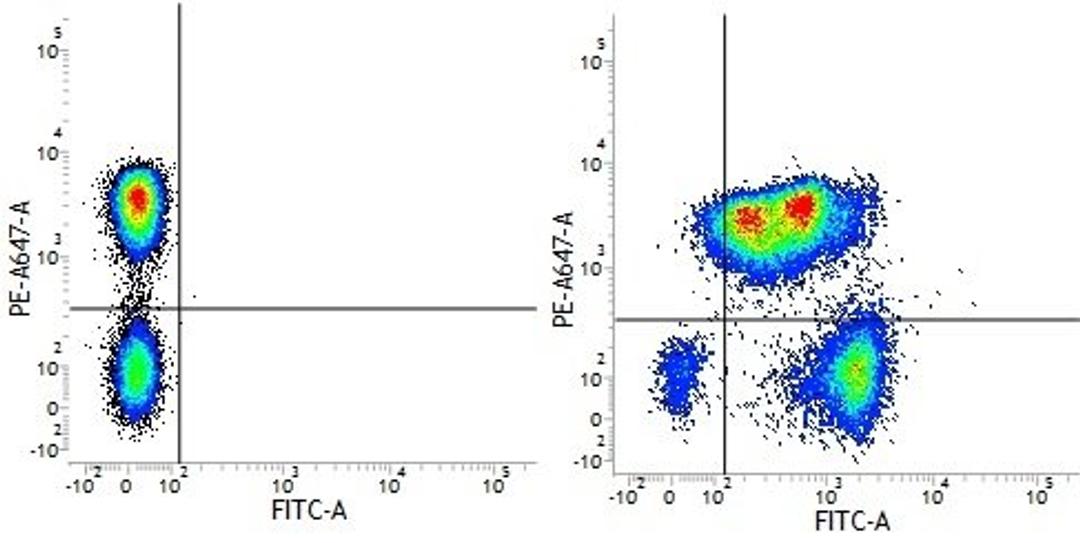 Figure A. Mouse anti Human CD3. Figure B. Mouse anti Human CD3 and Mouse anti Human CD53. 