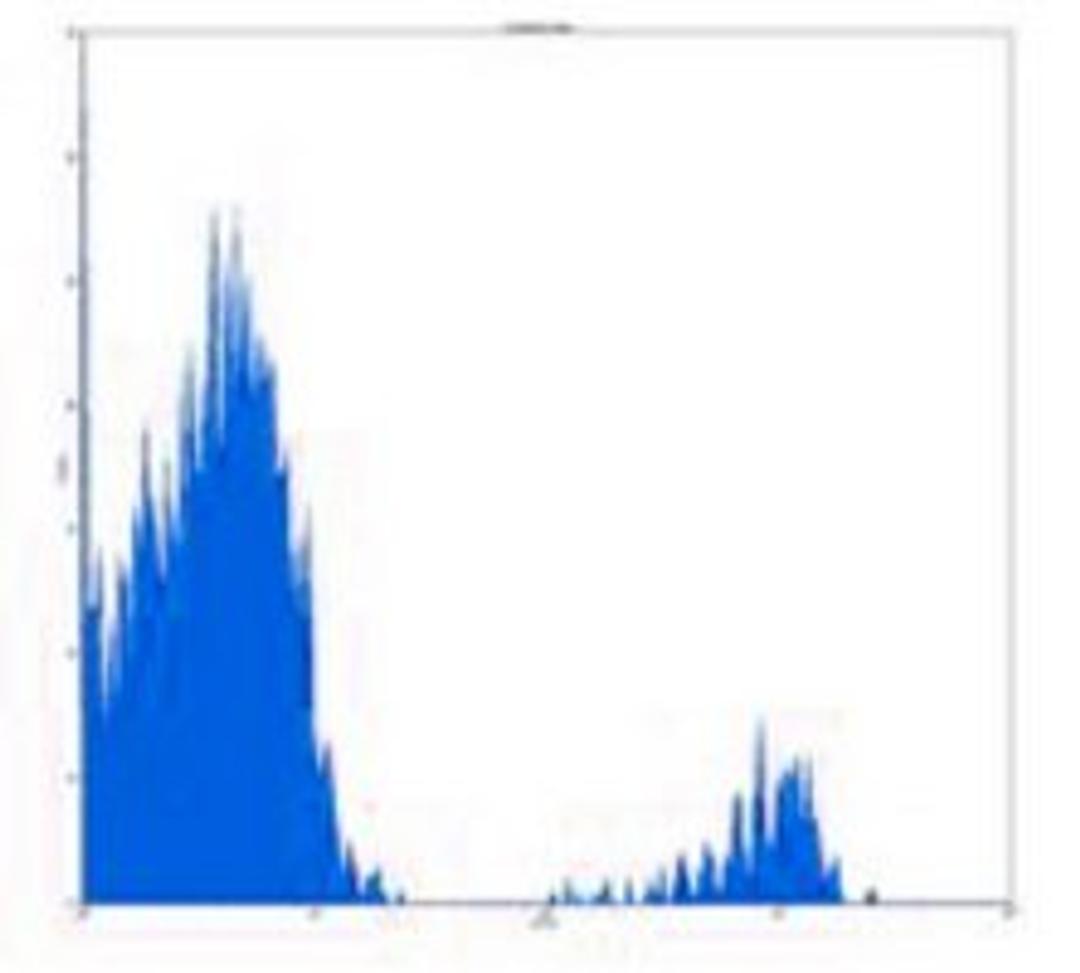 Flow cytometric analysis of human peripheral blood lymphocytes using CD19 antibody (PE-Cy5)