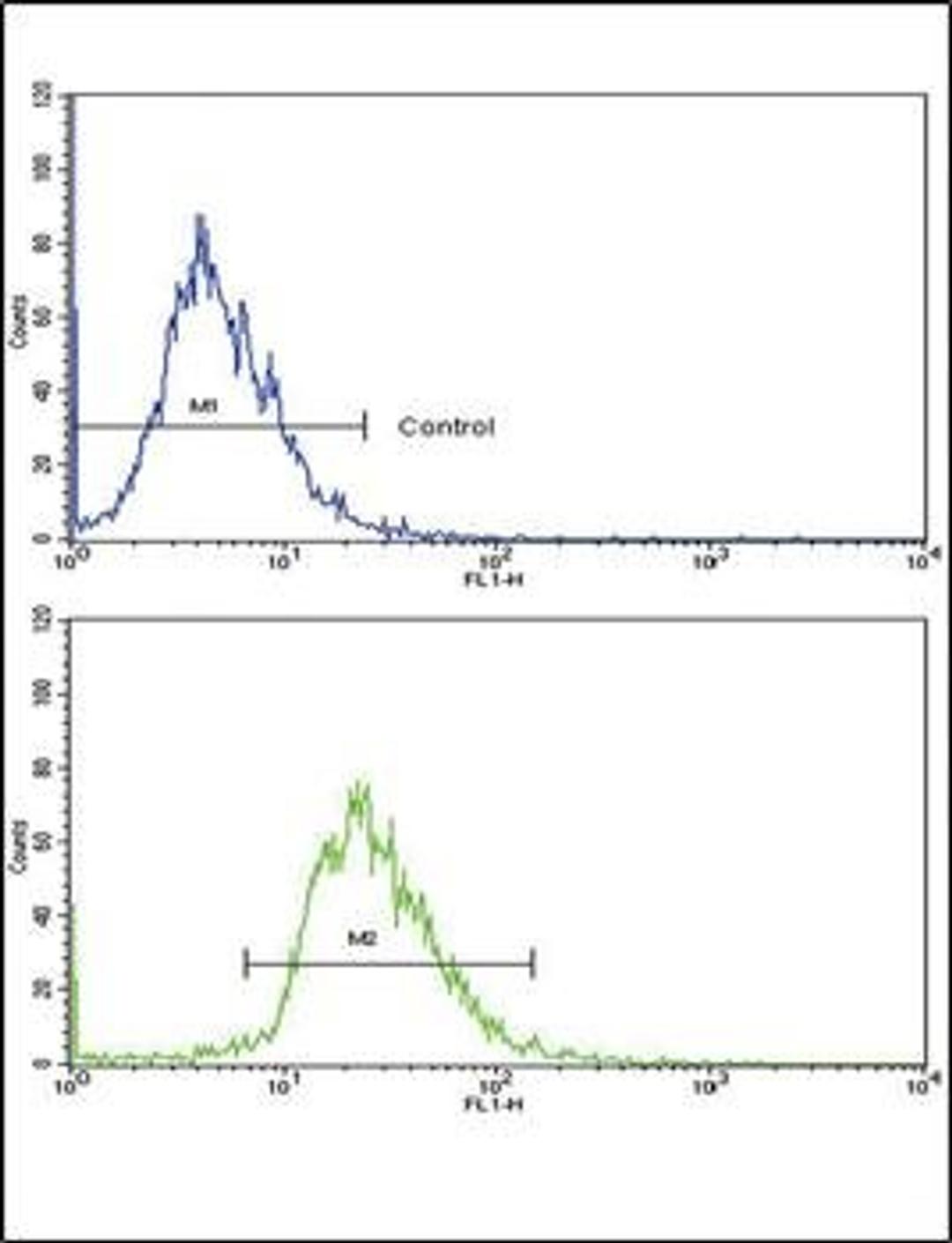 Flow cytometric analysis of HepG2 cells using CD82 antibody (primary antibody dilution at: 1:10-50)