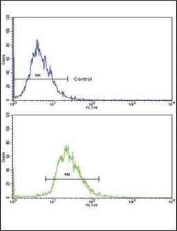 Flow cytometric analysis of HepG2 cells using CD82 antibody (primary antibody dilution at: 1:10-50)