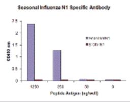 Seasonal influenza A N1 antibody (Cat. No. PM-5921) specifically recognizes seasonal (H1N1) N1, and does not cross-react with peptide corresponding to swine-origin influenza A (S-OIV, H1N1) N1 peptide, in ELISA. 