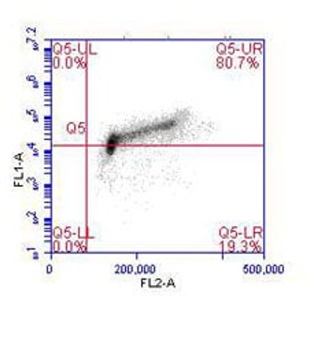 Flow cytometric analysis of phospho-MCM2 (pS40/41).