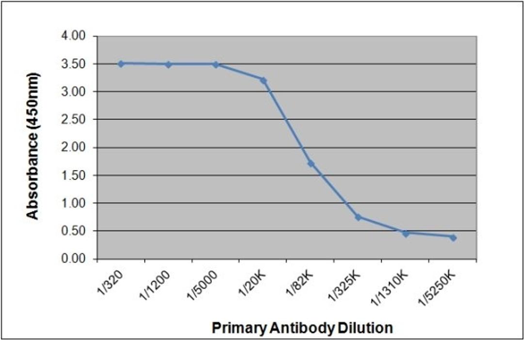 ELISA analysis of recombinant Human IgG3 lambda