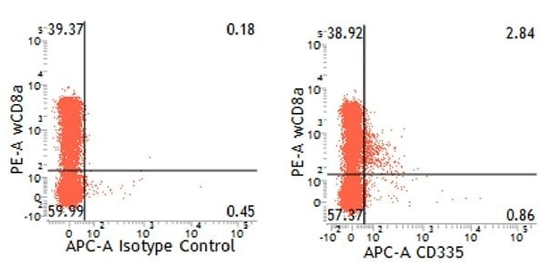 Dual staining of pig peripheral blood lymphocytes