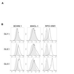 Flow (Intracellular): GLI-1 Antibody [NB600-600] - intracellular staining for GLI-1 in untreated human B cell lines (BCWM.1, MWCL-1 and RPCI-WM1)  using anti-GLI-1 antibody. Rabbit IgG Isotype Control (Cat# NBP2-36463) was used as a negative control. Image courtesy of Sherine Elsawa, Northern Illinois University.