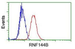 Flow Cytometry: IBRDC2 Antibody (9H10) [NBP2-02128] - Analysis of Jurkat cells, using anti-IBRDC2 antibody, (Red), compared to a nonspecific negative control antibody (Blue).