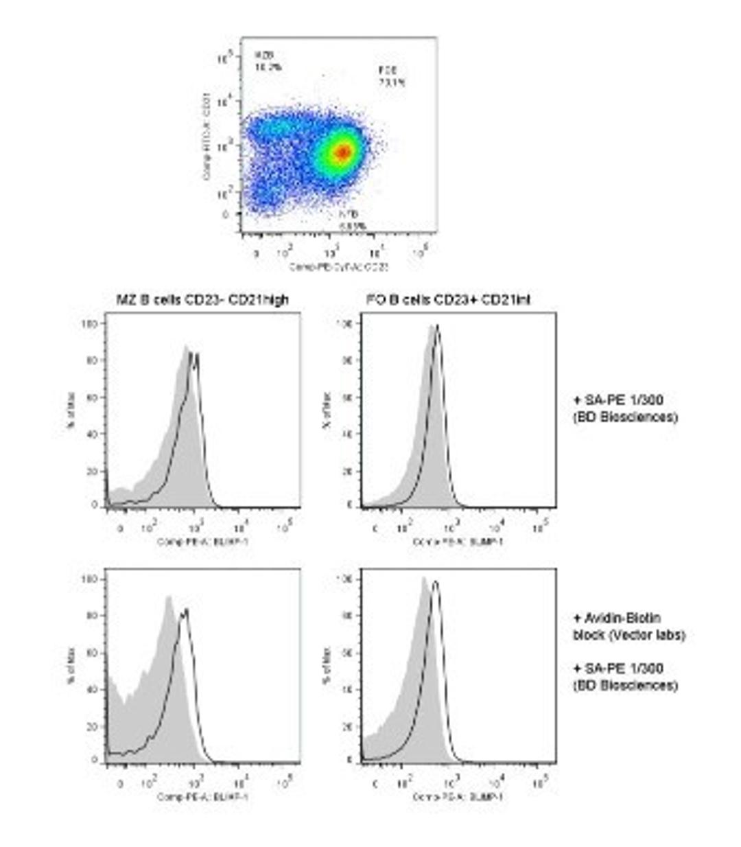 Flow Cytometry: BLIMP1/PRDM1 Antibody (3H2-E8) [NB600-235] - Analysis using the Biotin conjugate of NB600-235. Staining of Blimp-1 in mouse spleen. Image courtesy of product review by Branislav Krljanac.